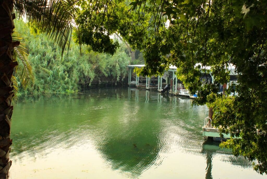 A lush view of trees alongside a group of docks. Sacramento Delta plumbing